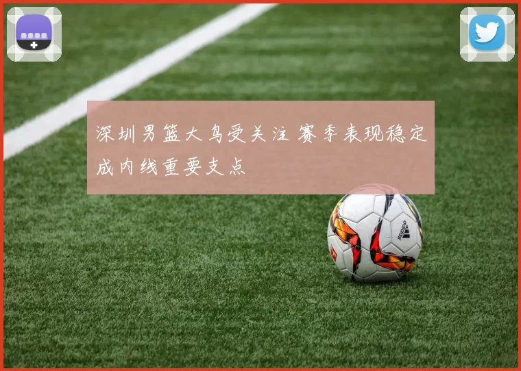 深圳男篮大鸟受关注 赛季表现稳定成内线重要支点
