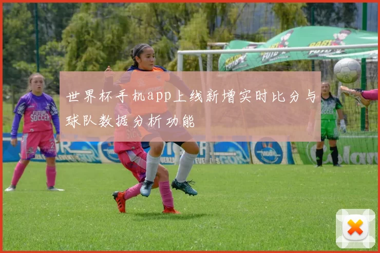 世界杯手机app上线新增实时比分与球队数据分析功能